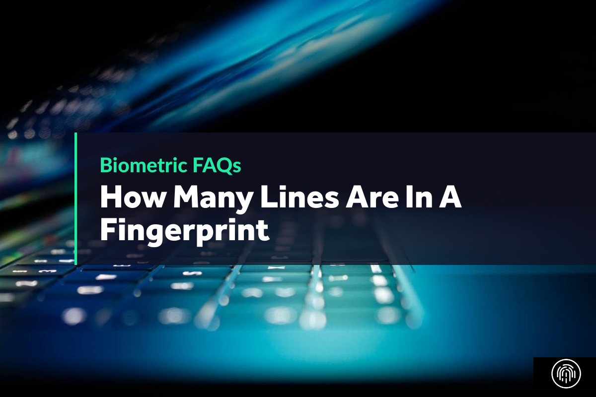 How Many Lines Are In A Fingerprint