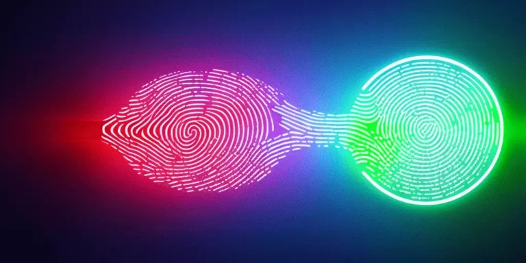 How do fingerprint scanners work?